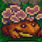Fungal Toad